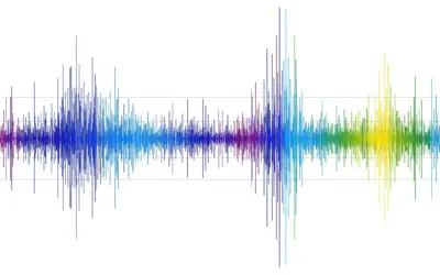 Analyse d’un Sonogramme de Chant d’Oiseau