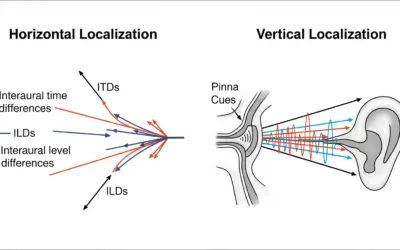 Distinction entre la Localisation Sonore
