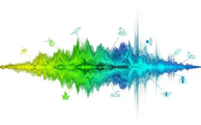 Caractérisation Acoustique d’un Habitat